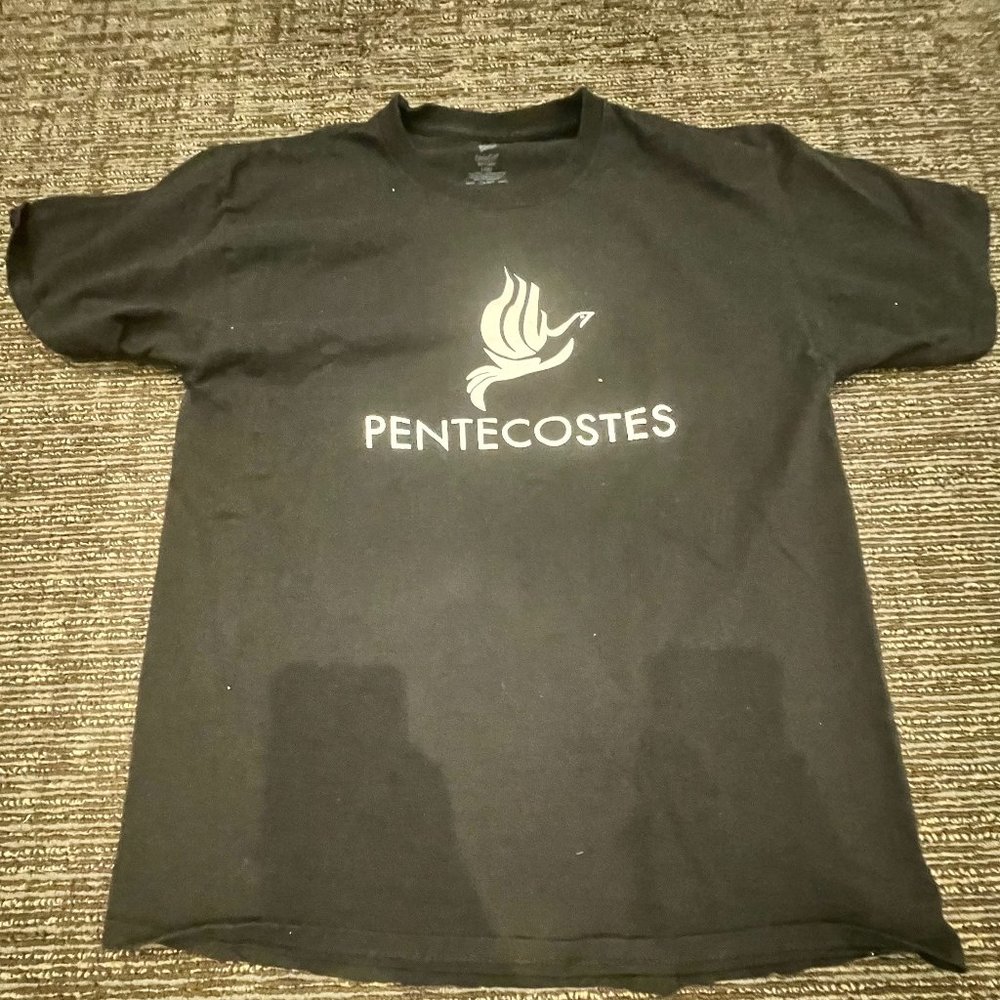 Men PENTECOSTES Graphic Heavyweight T shirt Size L